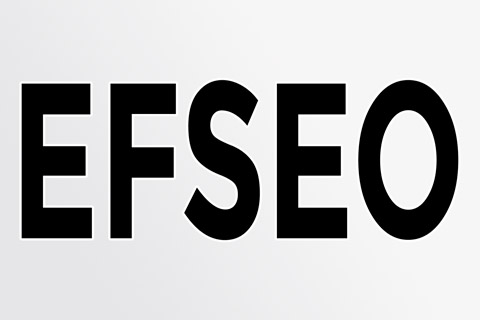 EFSEO позволяет продвижение любого сетевого ресурса